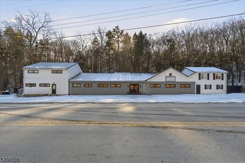 1050 State Rt 23 Wantage Twp. NJ 07461