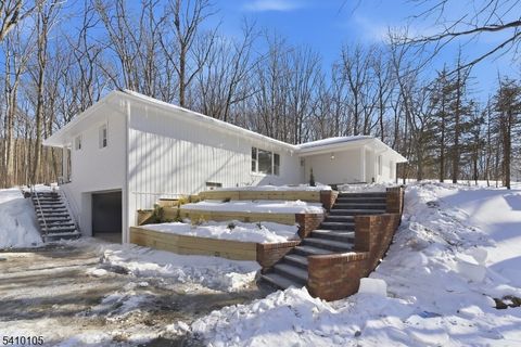 3 Carol Ter Warren Twp. NJ 07059