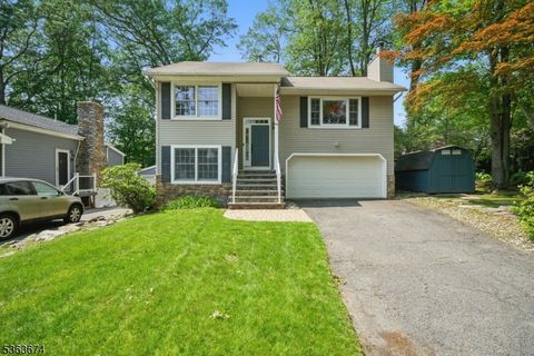 49 LONGVIEW TRAIL WEST Denville Twp. NJ 07834