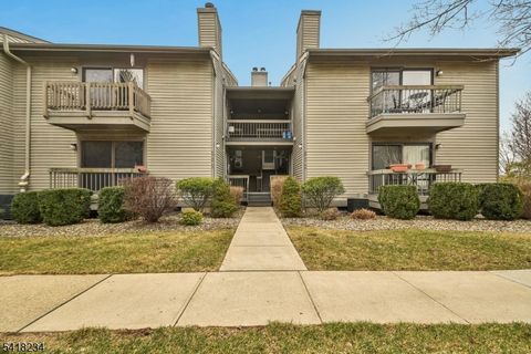 47 Sam Bonnell Dr Union Twp. NJ 08809