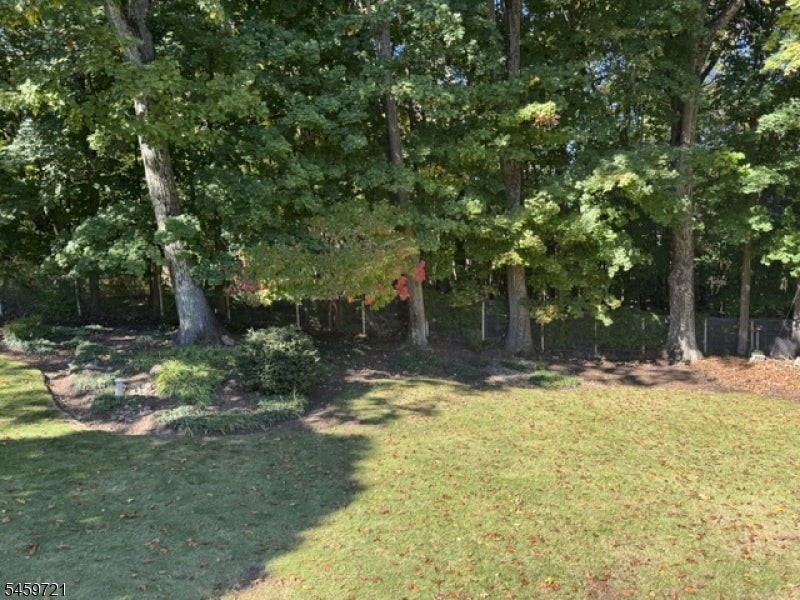 49 Shadylawn Dr