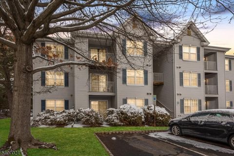 309 Stratford Pl Bridgewater Twp. NJ 08805