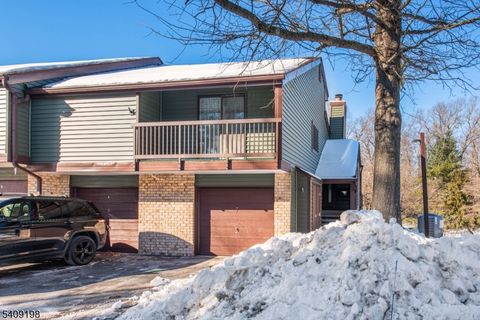 7 Summit Ct Clinton Twp. NJ 08801