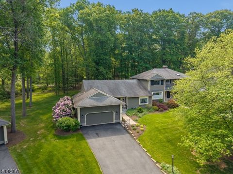 49 Hunters Cir Tewksbury Twp. NJ 08833