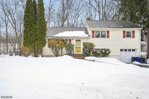 22 Springbrook Rd Livingston Twp. NJ 07039