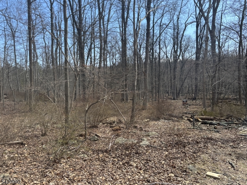 25 Red Mill Rd