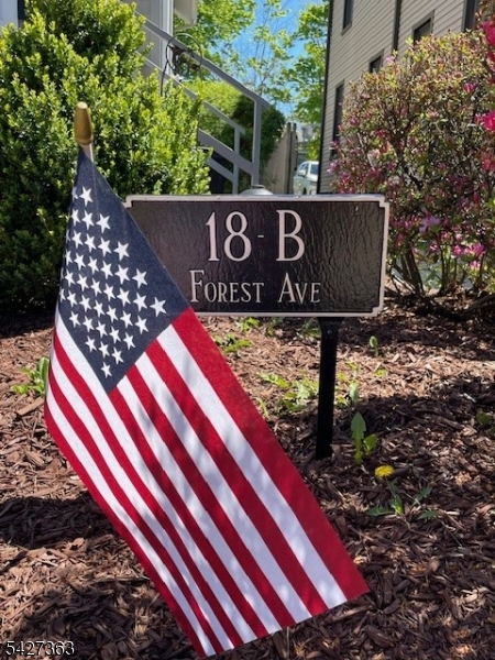 18 Forest Ave B