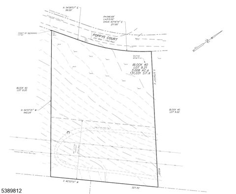 Photo of 10 Poppys Ct, Knowlton, NJ 07832 (MLS # 3991351)