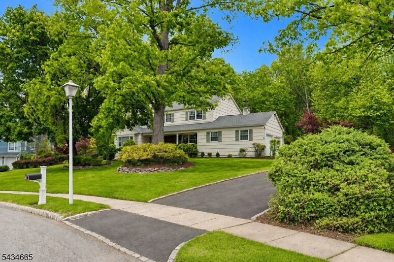 16 Beech Ct