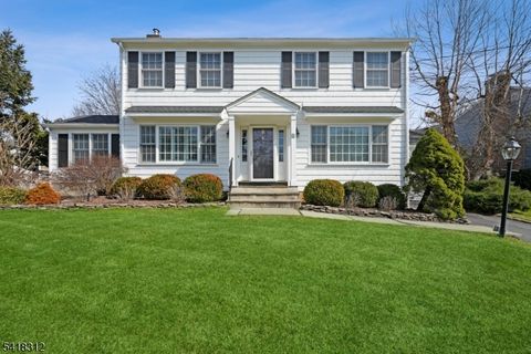 8 Dunnder Dr Summit City NJ 07901