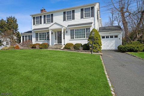 8 Dunnder Dr Summit City NJ 07901