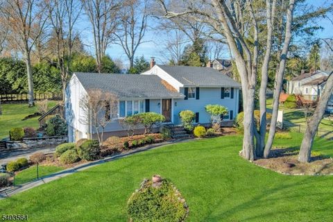 657 Jones Rd River Vale Twp. NJ 07675