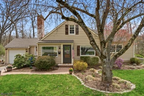 3 Alder Dr Sparta Twp. NJ 07871