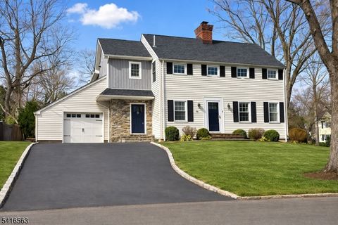 119 Wellington Ave Millburn Twp. NJ 07078