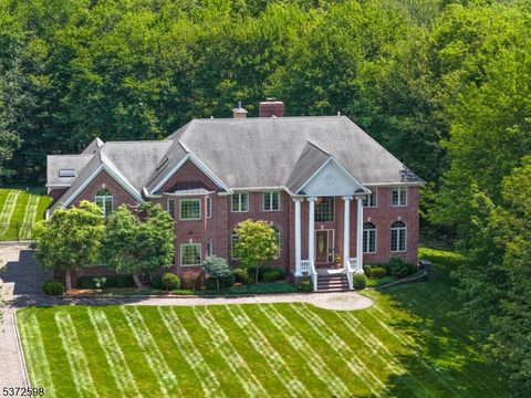 62 Canoe Brook Ln Bernards Twp. NJ 07931