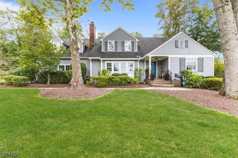 78 Spring Ridge Dr Berkeley Heights Twp. NJ 07922