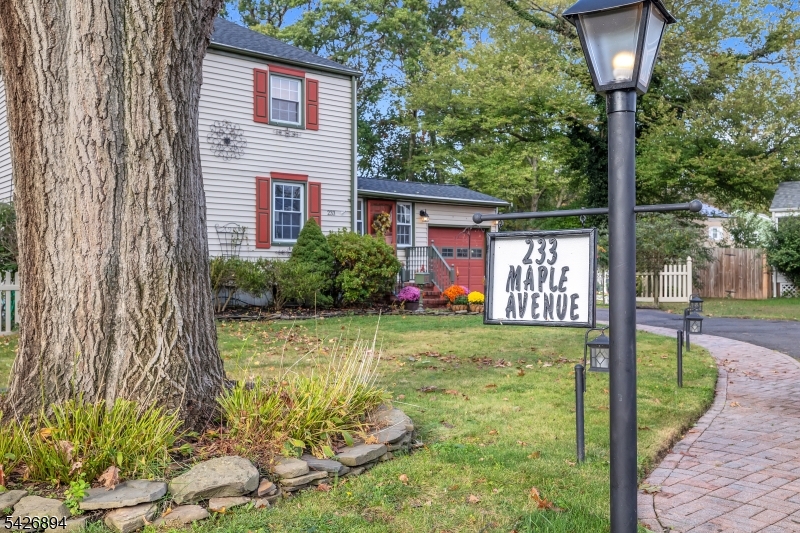 233 Maple Ave