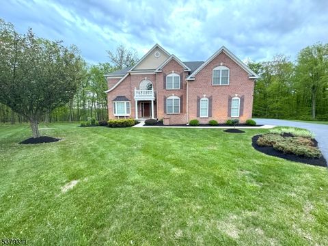 8 Stark Ct Mount Olive Twp. NJ 07836