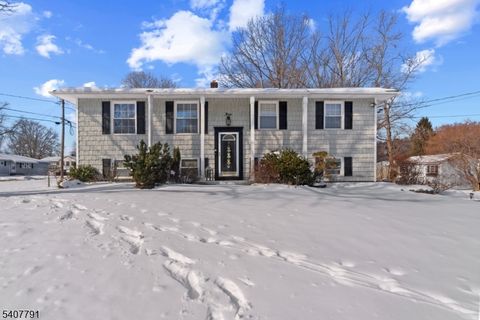 3 Armstrong Dr Jefferson Twp. NJ 07438