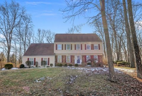 65 Wehrli Rd Washington Twp. NJ 07853