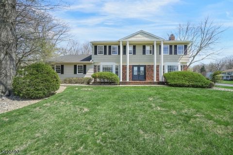 13 Flanders Drive Montville Twp. NJ 07045
