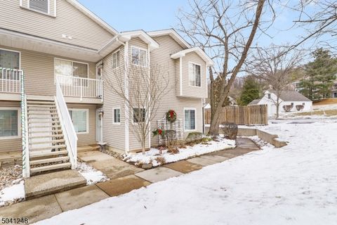 47 SPRUCE CT Bedminster Twp. NJ 07921