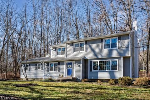 9 Shadetree Pl Washington Twp. NJ 07853