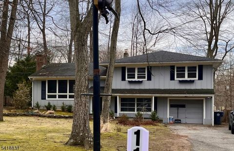 113 Woodland Ave Morris Twp. NJ 07960