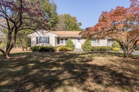 Photo of 115 Valley Rd, Hillsborough, NJ 08844 (MLS # 3993845)