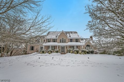 10 Red Robin Way Raritan Twp. NJ 08822