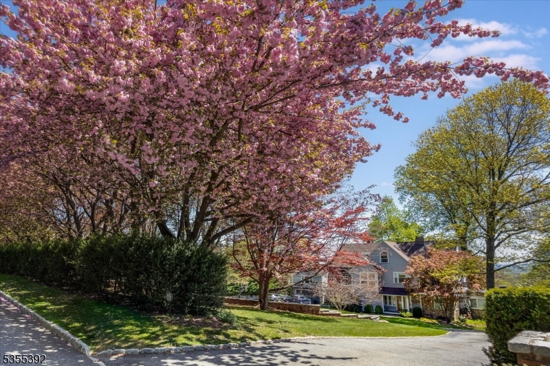49 Highland Ave