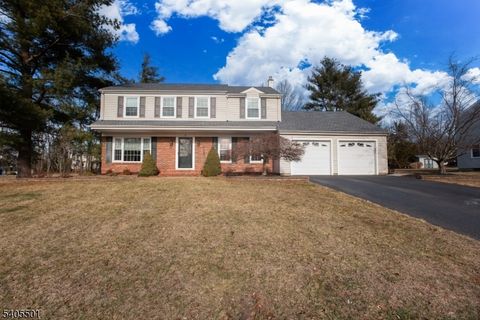 3 Radnor Ct Hillsborough Twp. NJ 08844