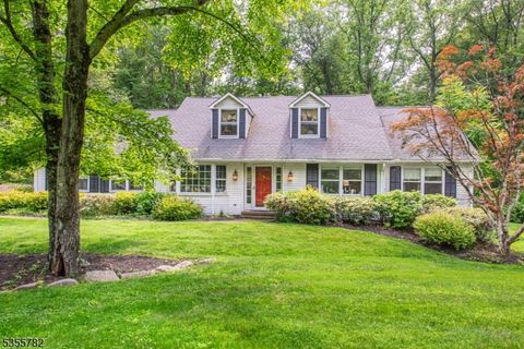 29 Coleman Rd Washington Twp. NJ 07853