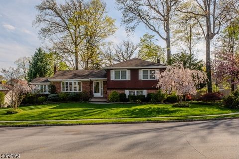 19 Rosemilt Pl Morristown Town NJ 07960