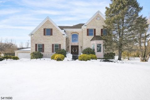 4 Buck Run Ct Montville Twp. NJ 07082