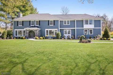 1387 CHAPEL HILL RD Mountainside Boro NJ 07092