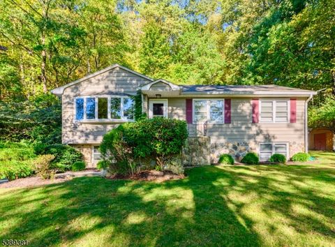 Photo of 137 Hurd St, Mine Hill, NJ 07803 (MLS # 3991436)
