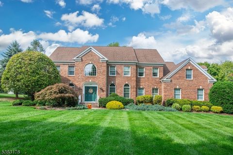 42 Quail Run Randolph Twp. NJ 07869