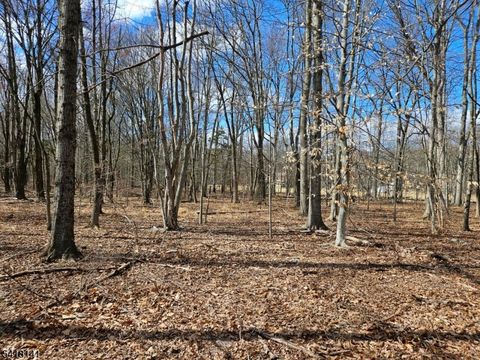 33 Featherbed Ln Raritan Twp. NJ 08822