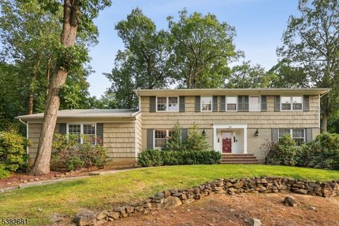 10 Byron Rd North Caldwell Boro NJ 07006