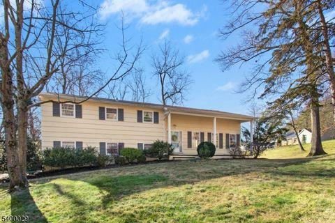 355 Ackerman Ave Mountainside Boro NJ 07092