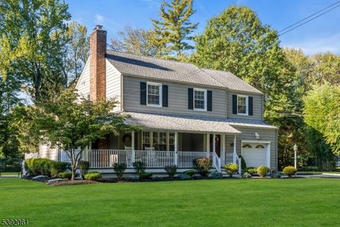 1232 Sunnyfield Ln Scotch Plains Twp. NJ 07076
