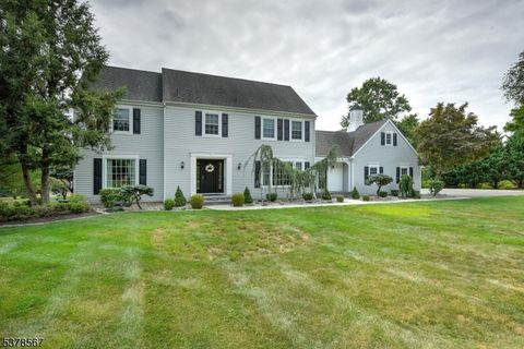 9 Settlers Ct Branchburg Twp. NJ 08853