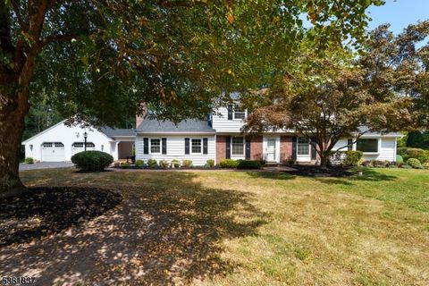 16 Cherry Brook Dr Montgomery Twp. NJ 08540