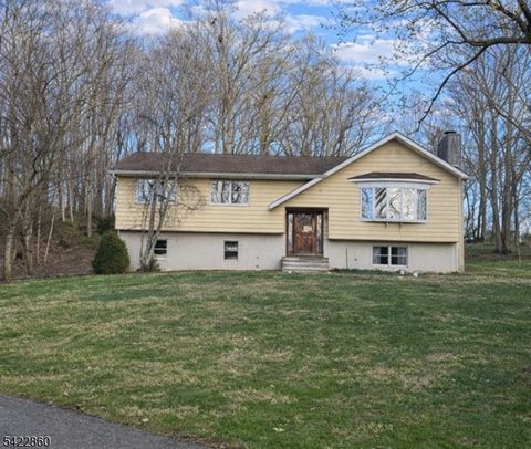 6 Millbrook Rd Blairstown Twp. NJ 07825