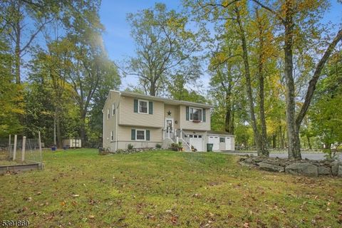 3 Winding Way Holland Twp. NJ 08848