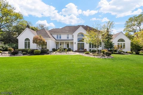 3 Cobblestone Ln Washington Twp. NJ 07853