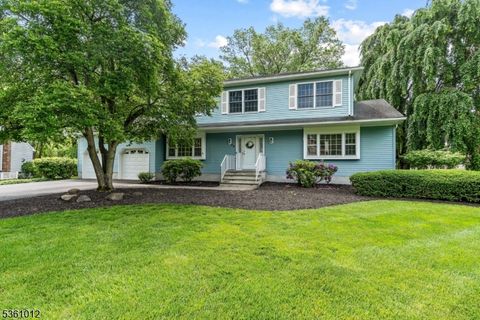 25 Shannon Rd Bridgewater Twp. NJ 08807