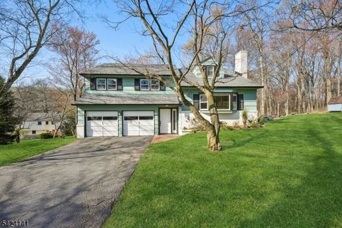 7 Archer Ln Scotch Plains Twp. NJ 07076