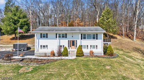 29 Newman Rd Wantage Twp. NJ 07461